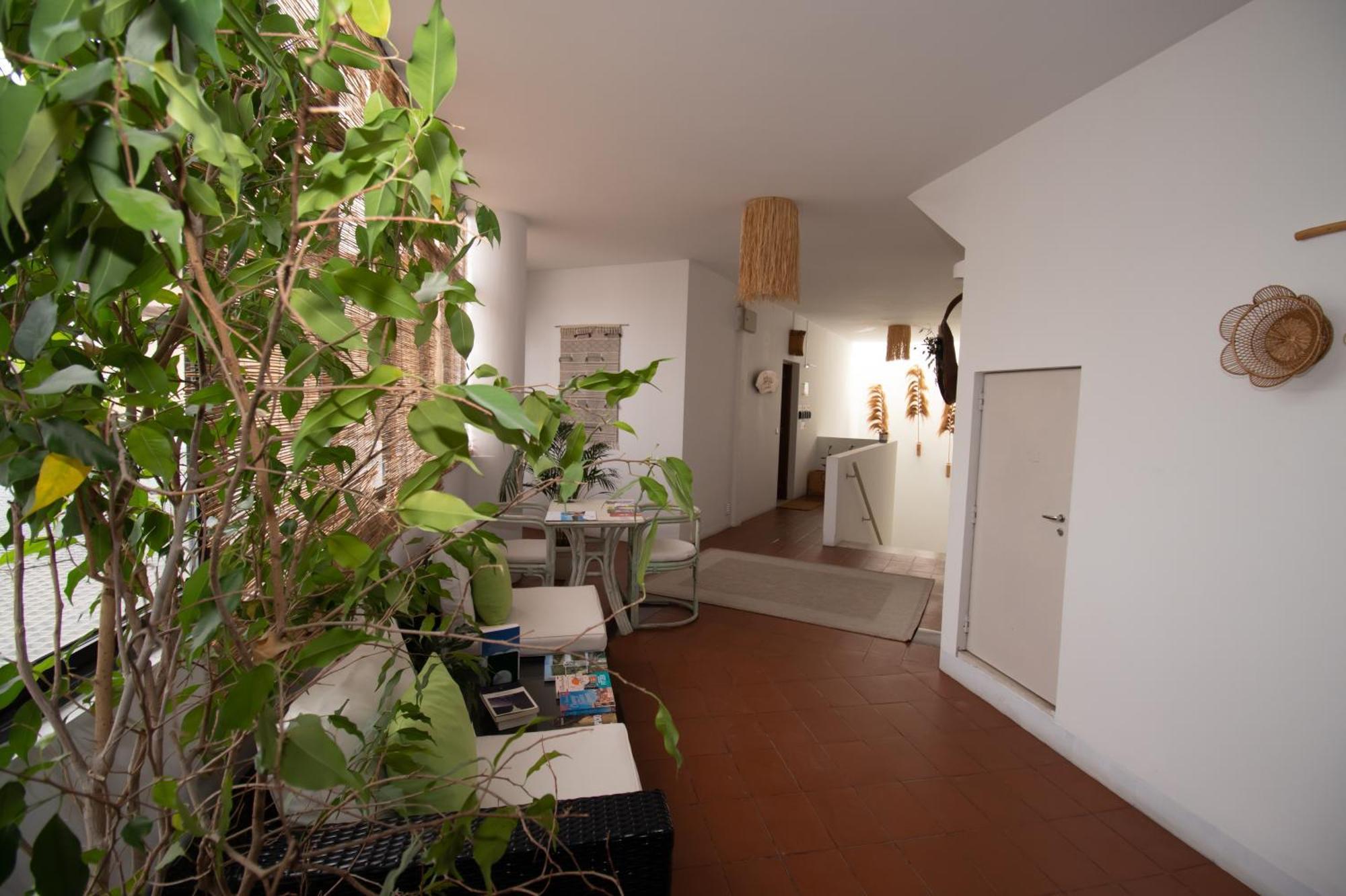 Villa Center - Alojamento Local Grândola Extérieur photo